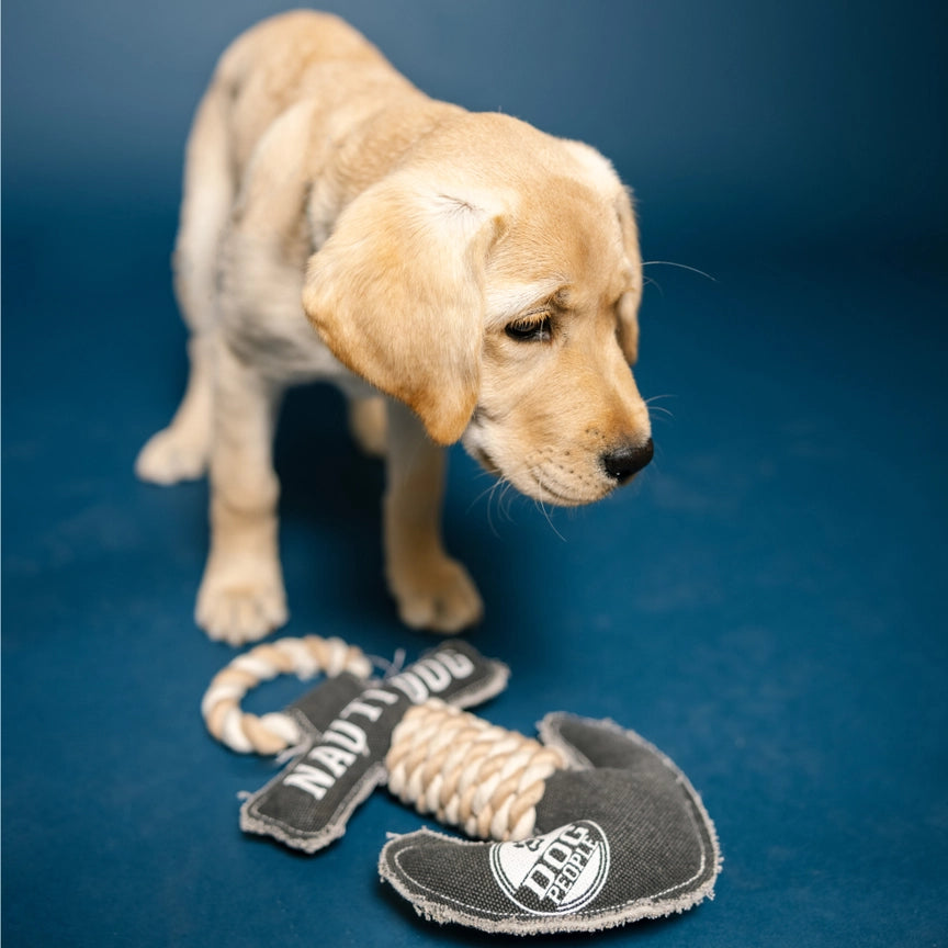 Nauti Dog - 12" Canvas Dog Toy On Rope