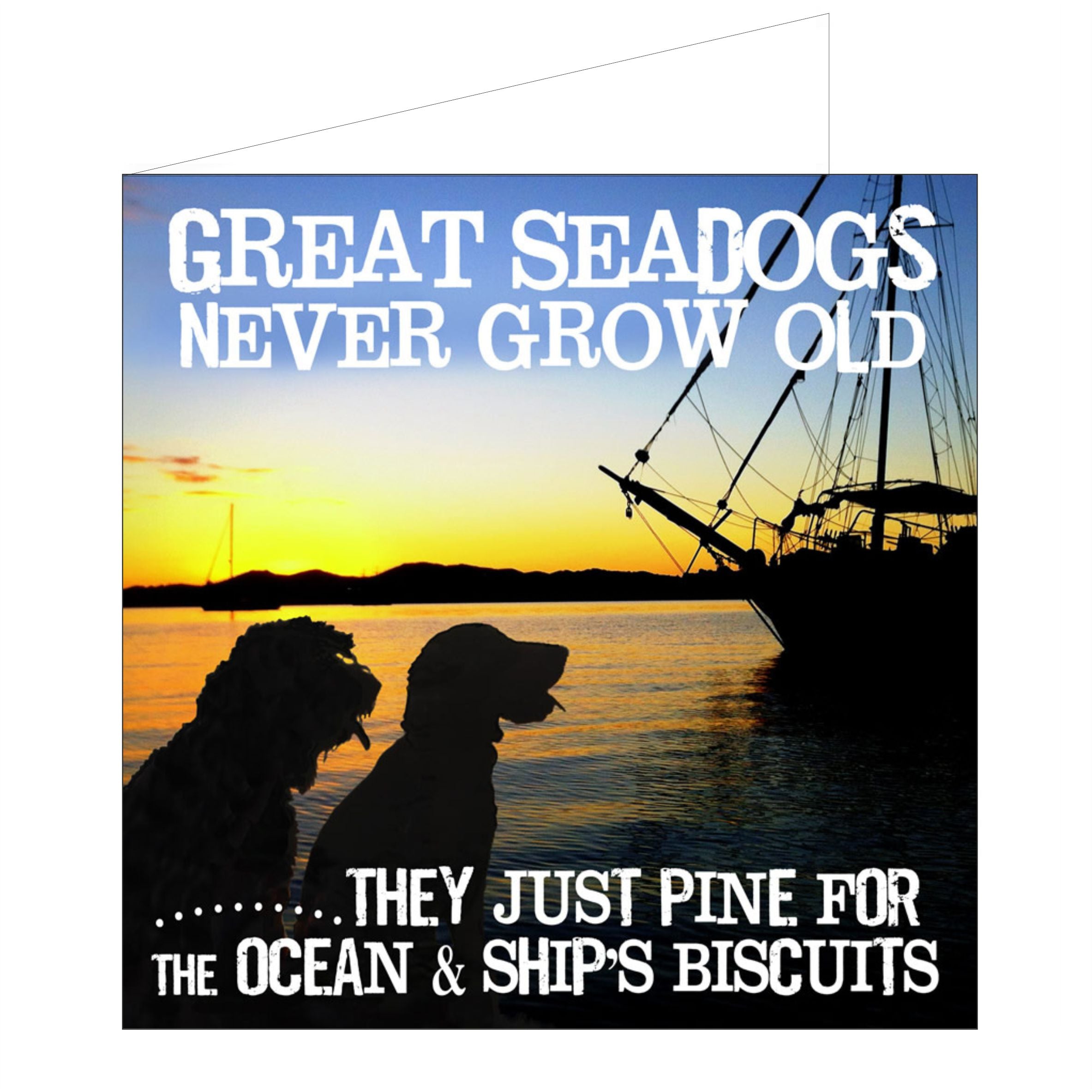 Old Sea Dog Greeting Card